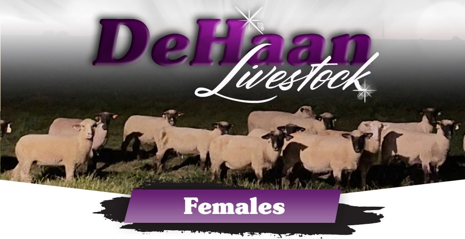 Females